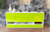 Sideboard Florentina, Grün (180x79x35cm)